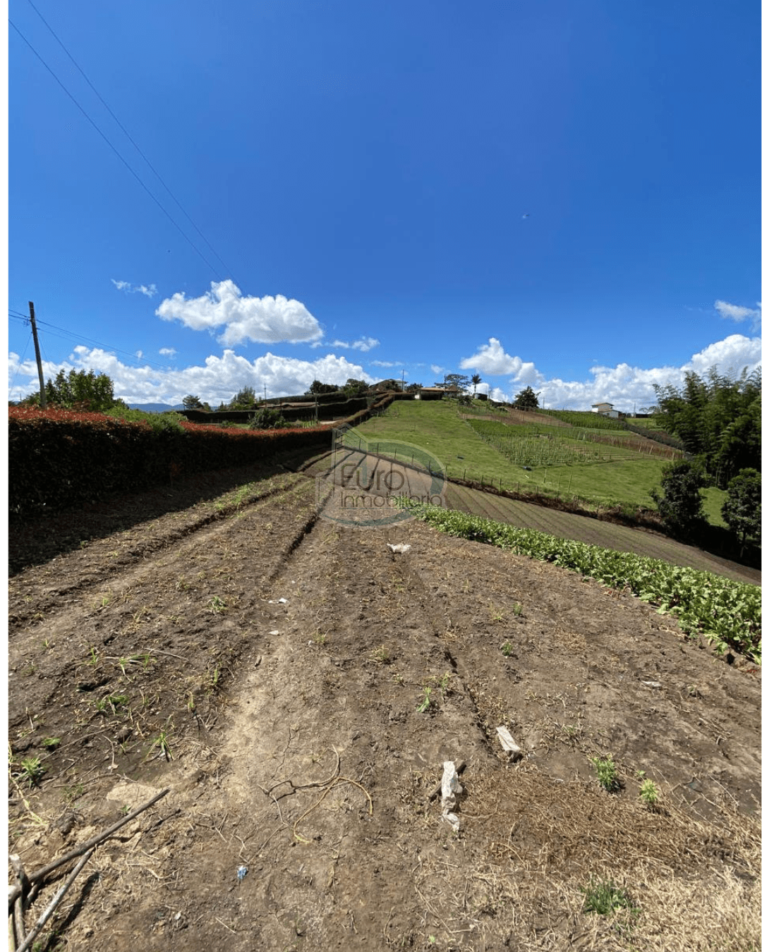 Lote vereda la hijuela
Carmen de viboral 